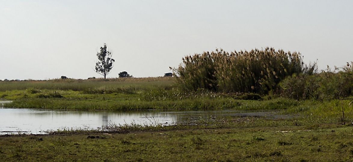 Bangweulu Wetlands along the Chambezi River.