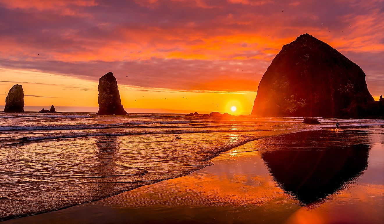 Colorful sunset, birds, Haystack Rock sea stacks, Canon Beach, Clatsop County, Oregon. 