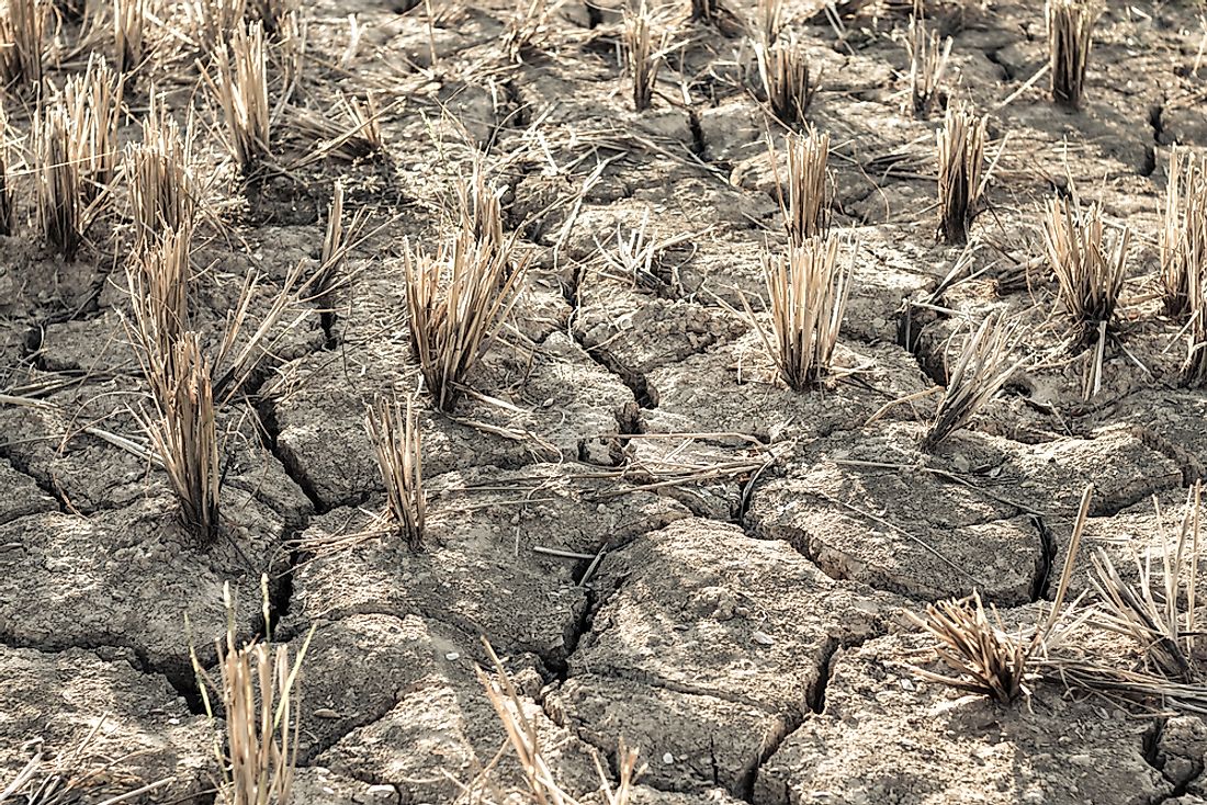 Cracked ground as a result of serious drought. 