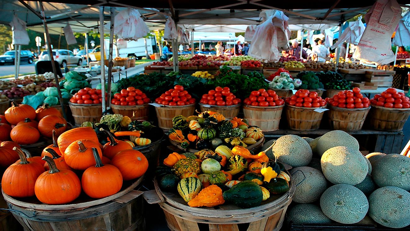 Fruit and vegetables at the Manassas Farmers Market, Manassas, Virginia, USA.