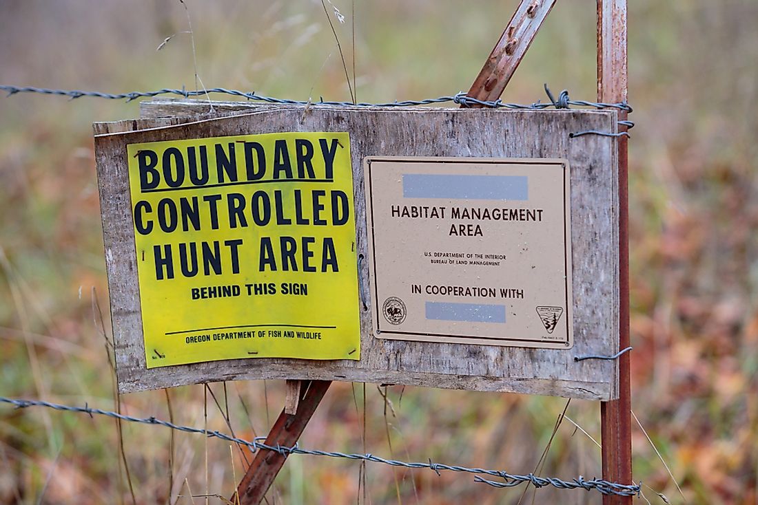 The North Bank Habitat Management Area was instrumental in the protection of the Columbian white-tailed deer.  Editorial credit: Joshua Rainey Photography / Shutterstock.com