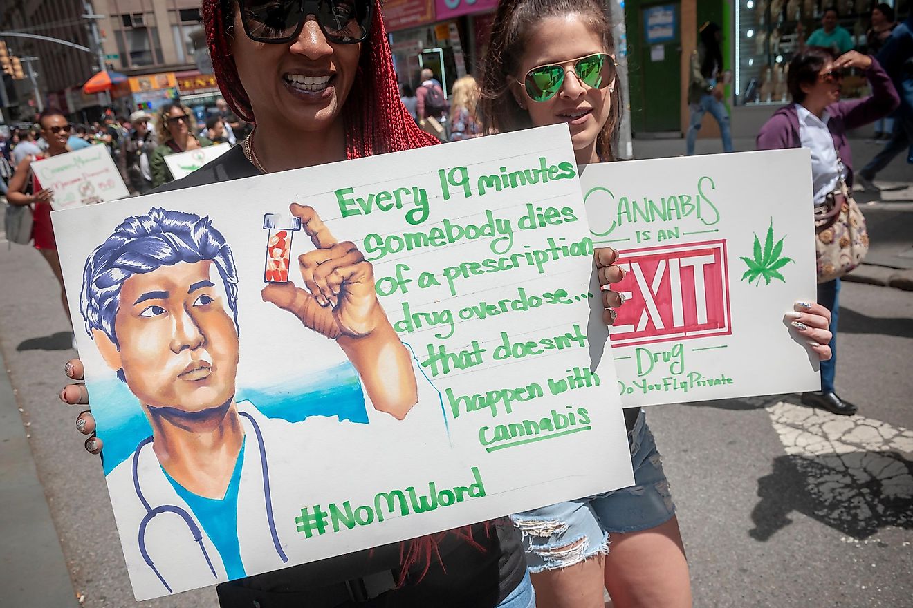 Advocates for the legalization of marijuana march at the annual NYC Cannabis Parade, New York, US. Image credit: rblfmr/Shutterstock