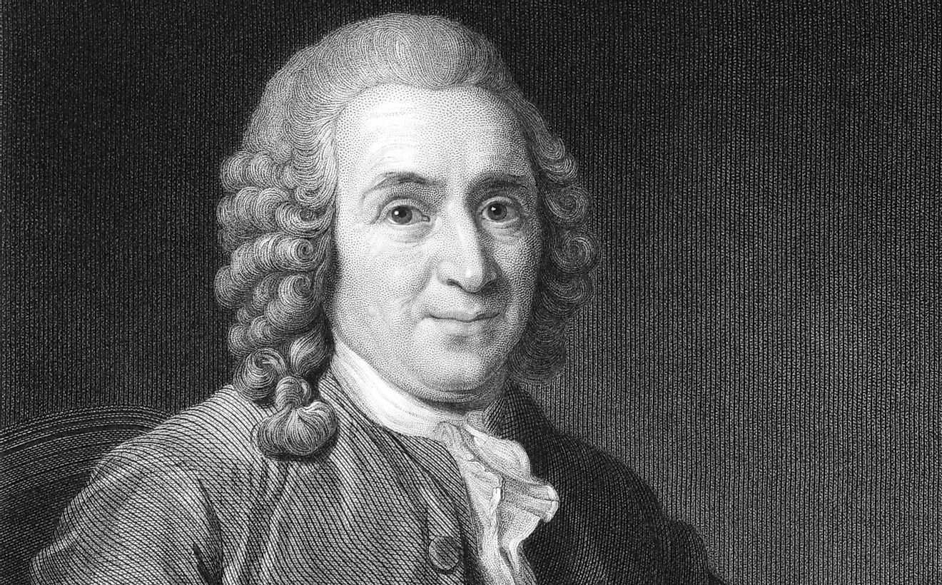 Carl Linnaeus, for whom the Linneaeus system of taxonomy is named after. 