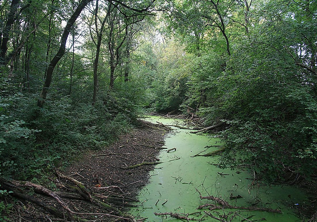 Danube-Auen National Park.