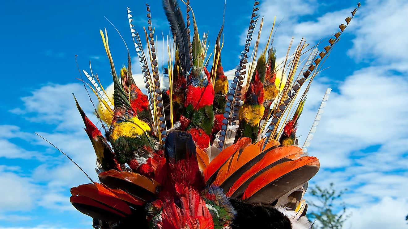 Thousands of birds are killed to prepare ceremonial headdresses in Papua New Guinea.