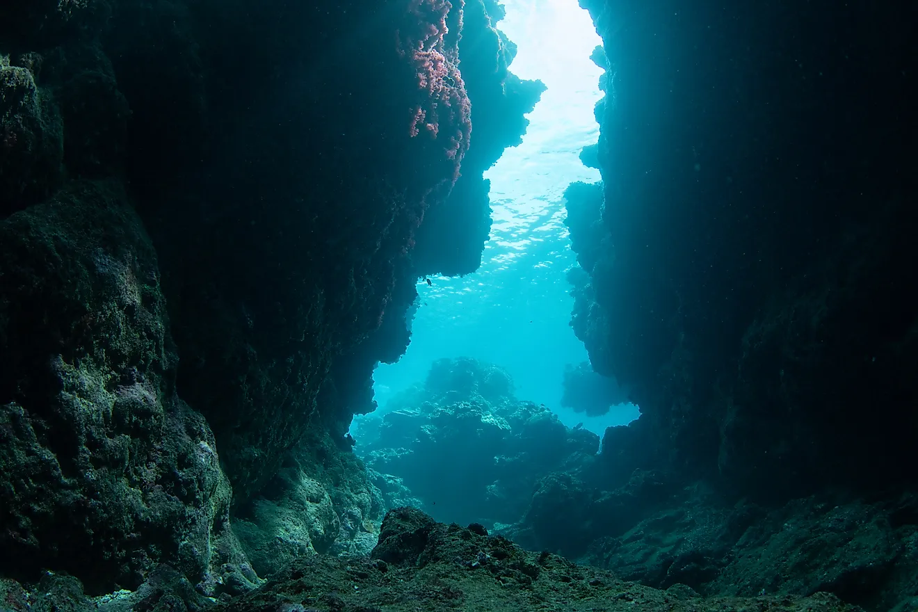 sunlight underwater