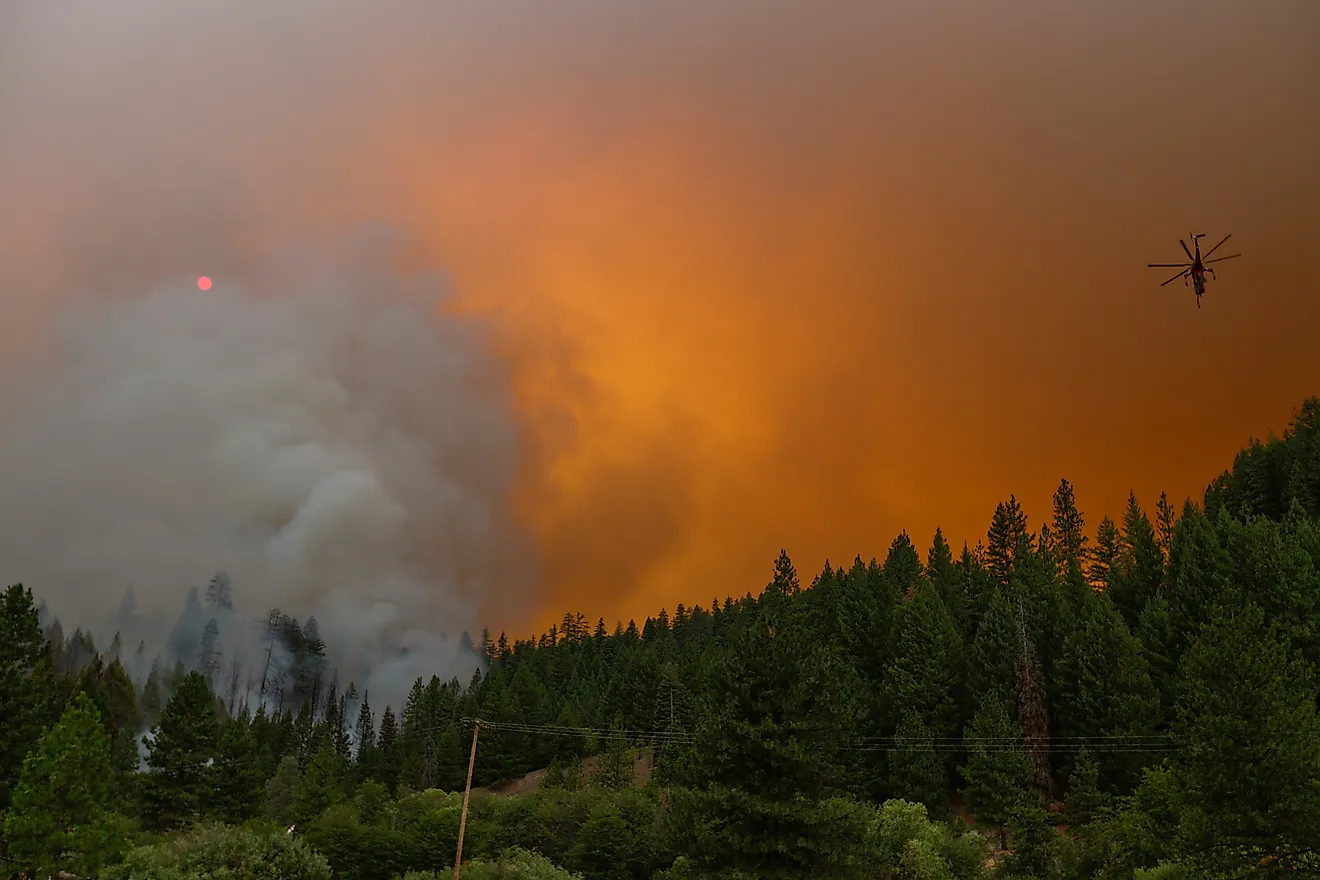 A helicopter moves above  a section of the McFarland Fire in the Shasta-Trinity National Forest in California, Editorial credit: DBrownPhotos / Shutterstock.com