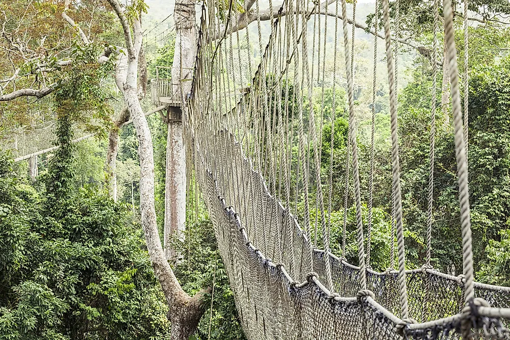 The canopy walk of Kakum National Park in Ghana. 