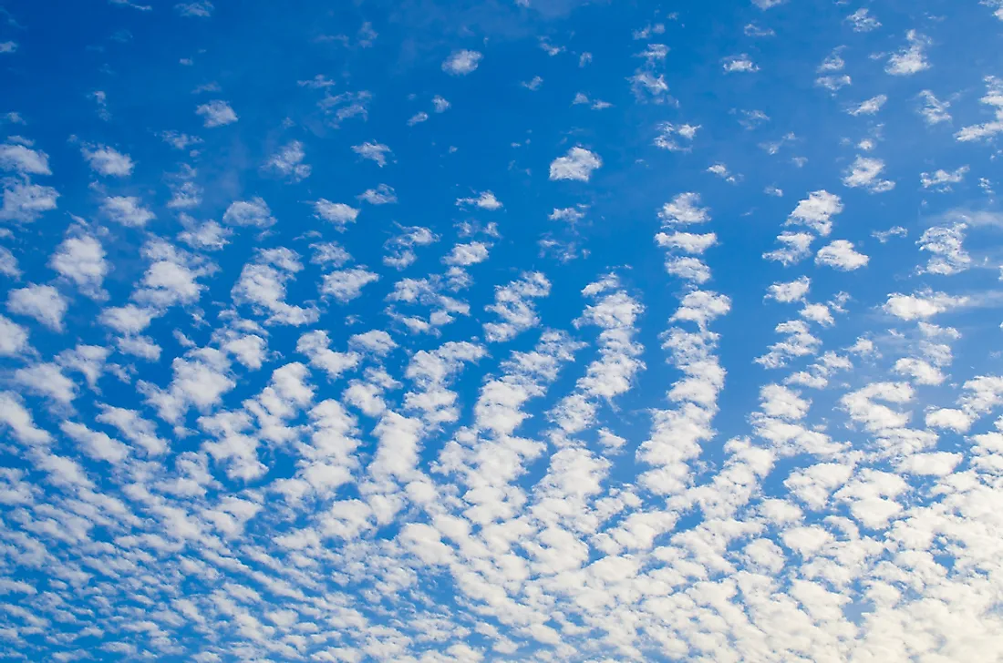 Altocumulus clouds. 