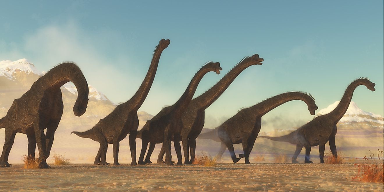 A 3D rendering depicts a herd of Brachiosauruses. 