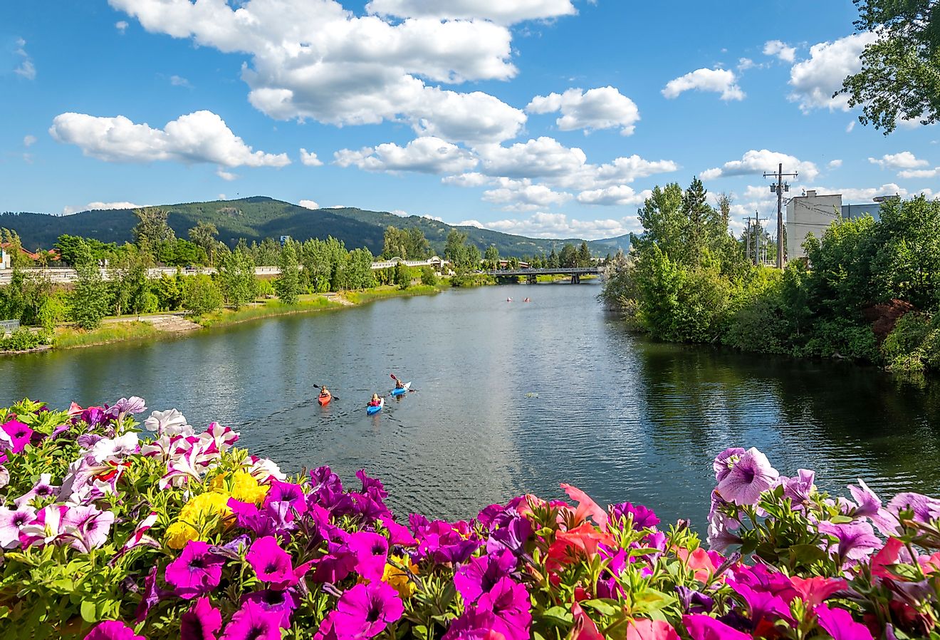 A group of kayakers enjoy a beautiful summer day on Sand Creek River and Lake Pend Oreille in the downtown area of Sandpoint, Idaho.