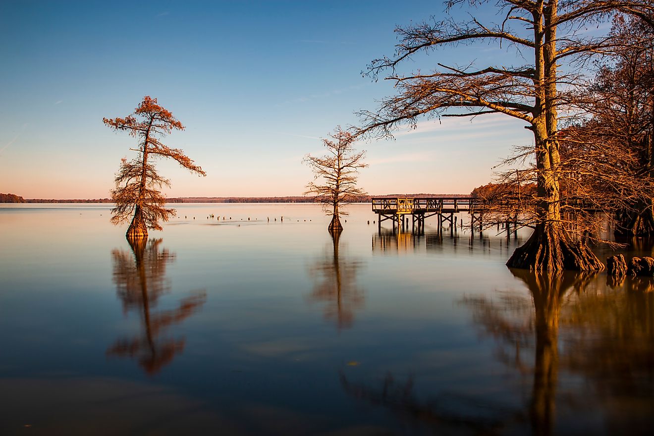 Landscapes of Reelfoot Lake Tennessee in Winter