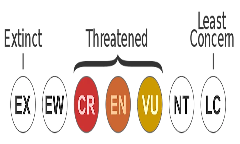 The major IUCN Red List Catgories