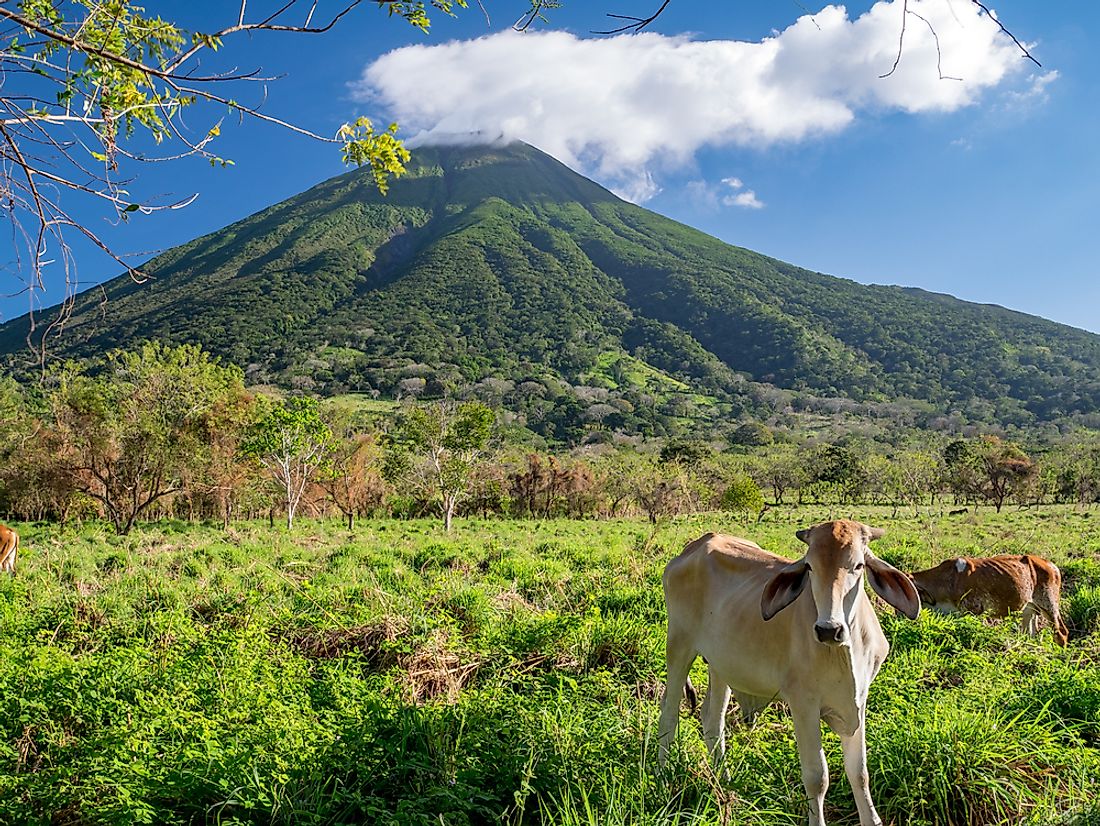 A dairy farm in Nicaragua. 