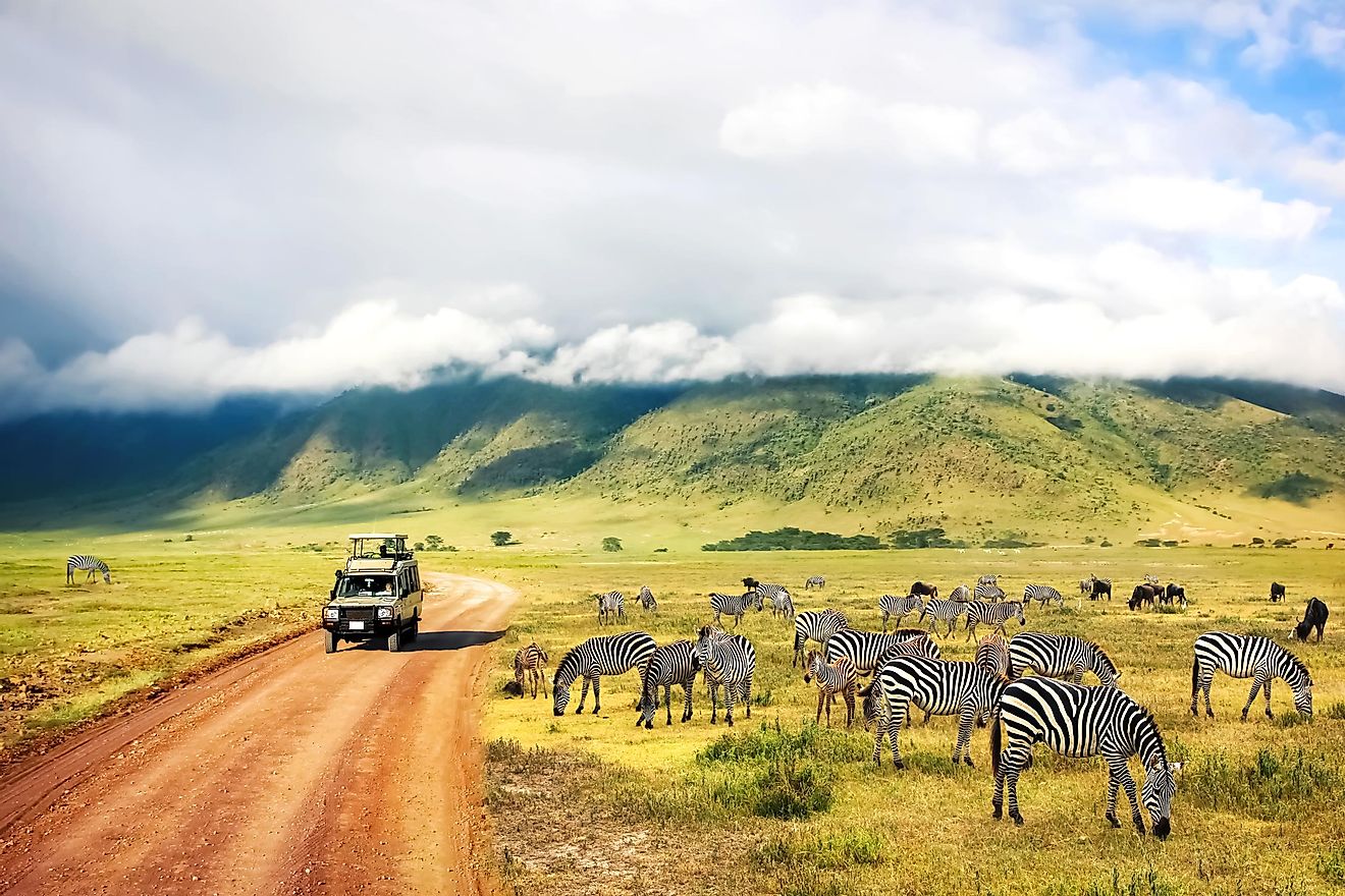 The stunning views of African nature