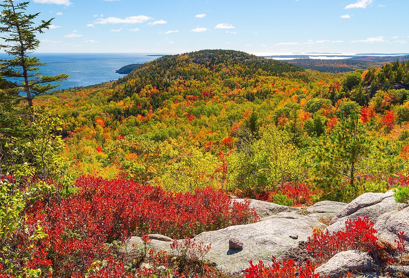 Autumn foliage in Acadia National Park, Maine.