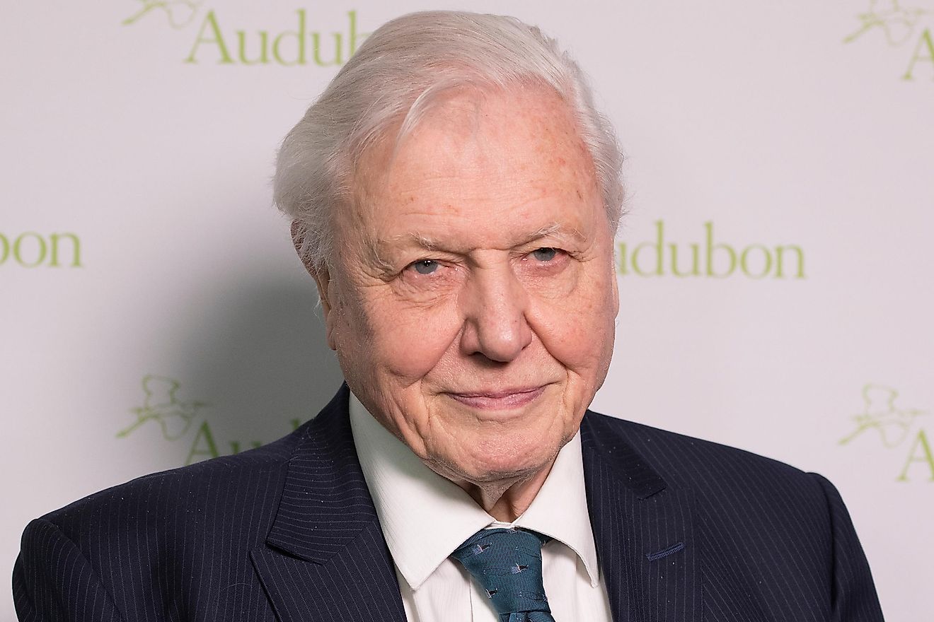 Sir David Attenborough attends National Audubon Society Annual Gala at Rainbow Room. Credit: lev radin / Shutterstock.com