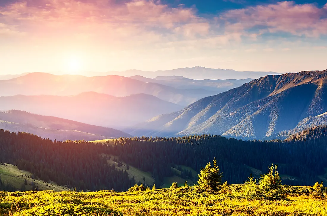 The lush landscape of Ukraine. 