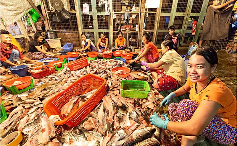 Local women clean fish in the fish market, in Yangon, Myanmar. Editorial credit: MehmetO / Shutterstock.com.