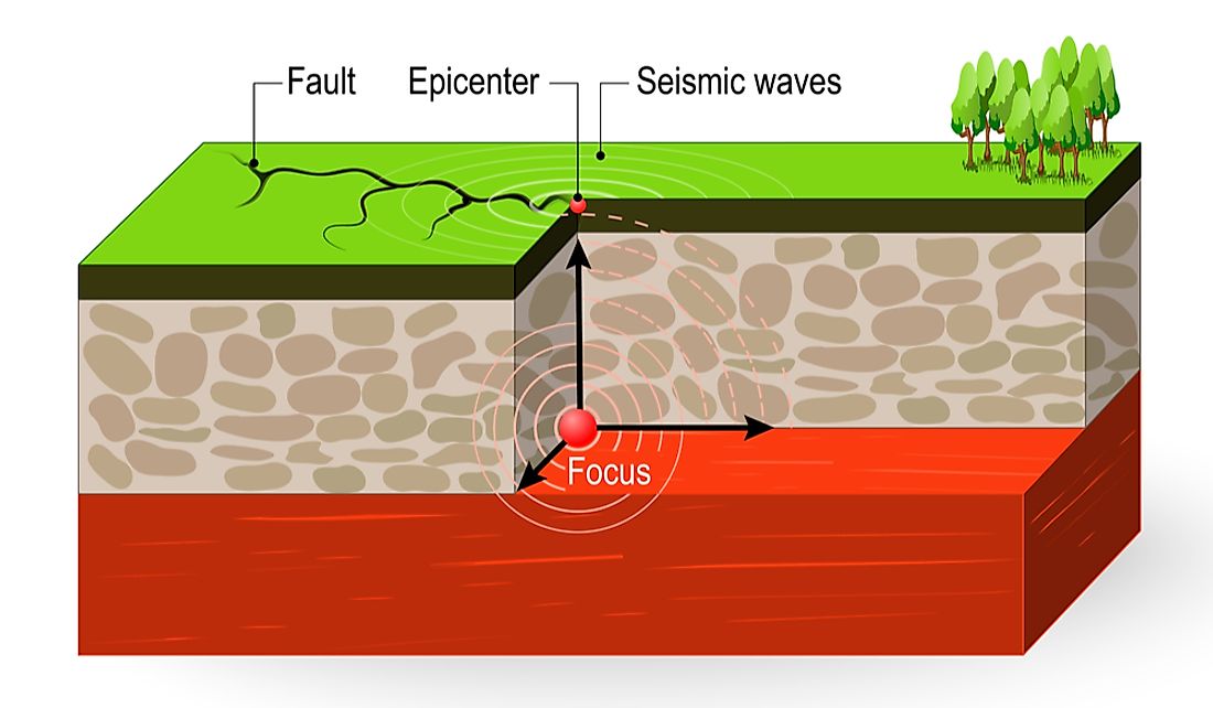 The epicenter is the point located directly above the focus.