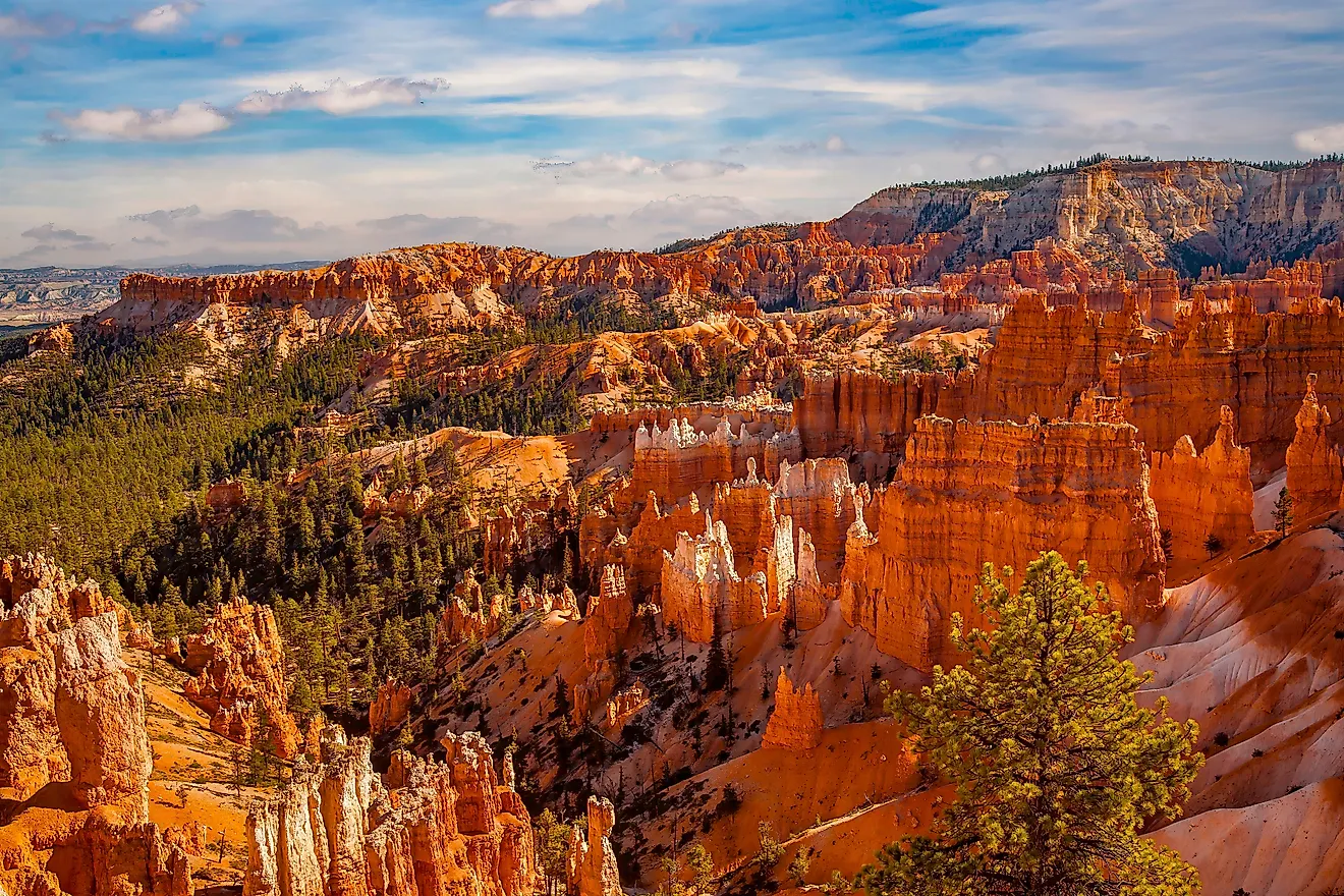 Bryce Canyon National Park, located in southwestern Utah. 