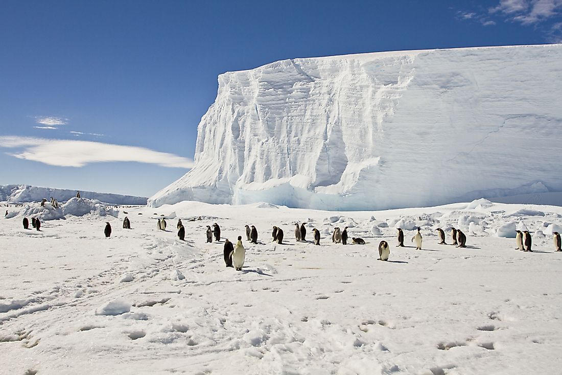 Penguins inhabit the icy landscape of Antarctica. 