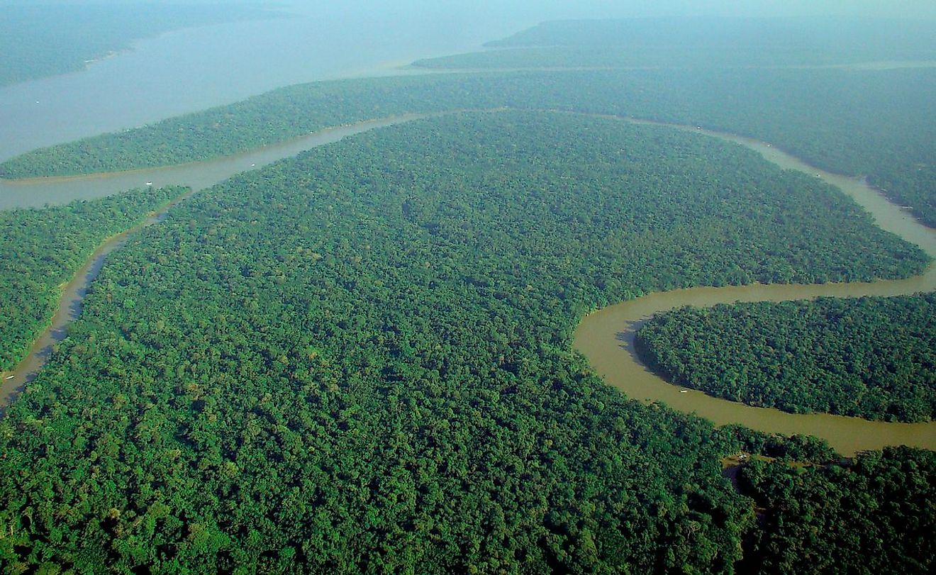 An aerial view of the dense Amazon rainforest of South America.