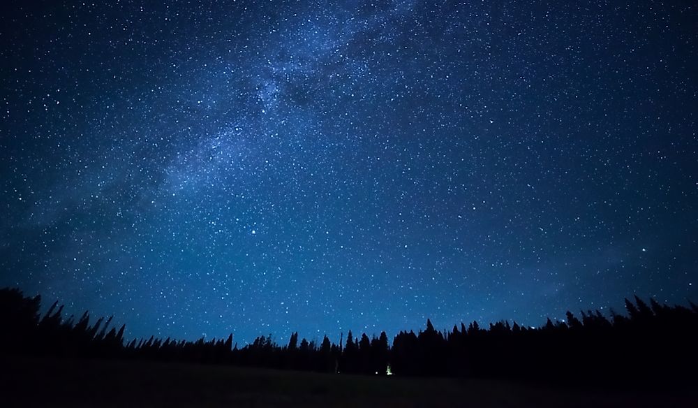 Stars twinkle and light up the sky at night. 