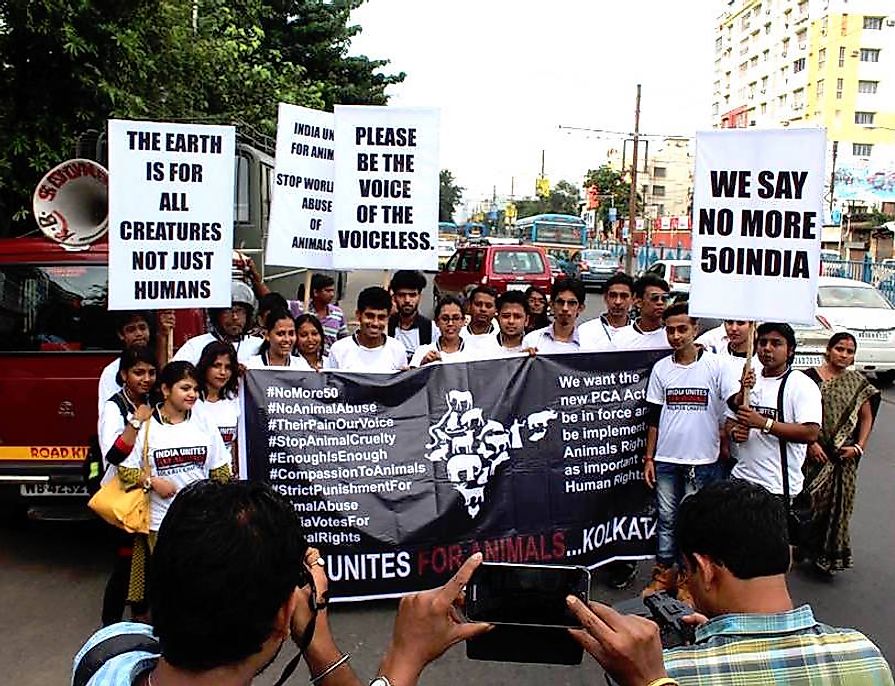The team of For the Animals poses with banners carrying slogans voicing out against animal cruelty on the streets of Kolkata, West Bengal, India. Photo credit: For the Animals.