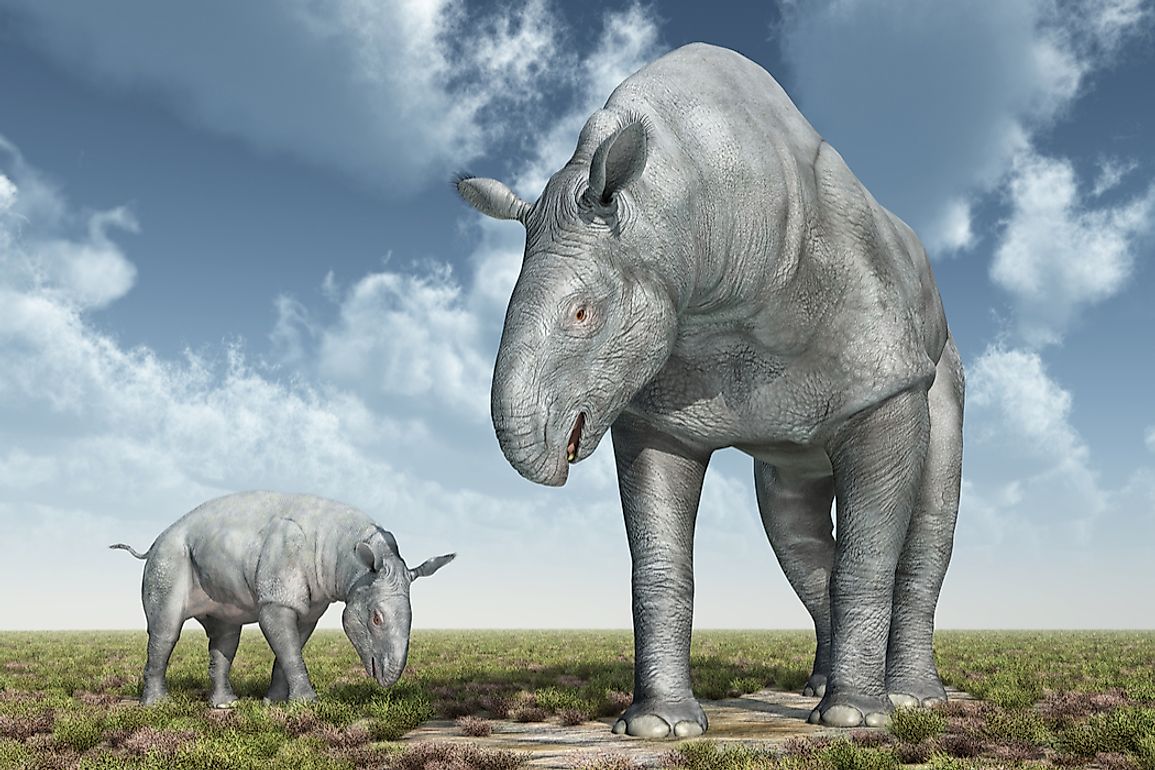 A 3D rendering of the ancient Paraceratherium. 
