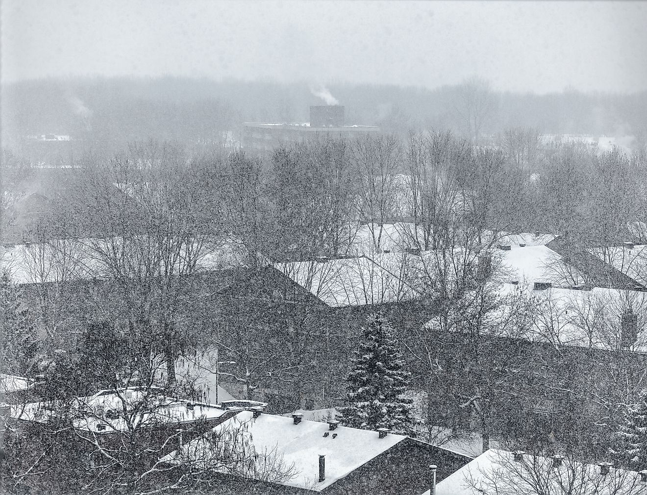 A snowstorm in Quebec, Canada. Image credit: Maridav/Shutterstock.com