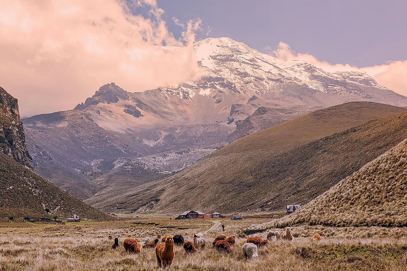 The peak of Chimborazo is the tallest to be found in Ecuador. 