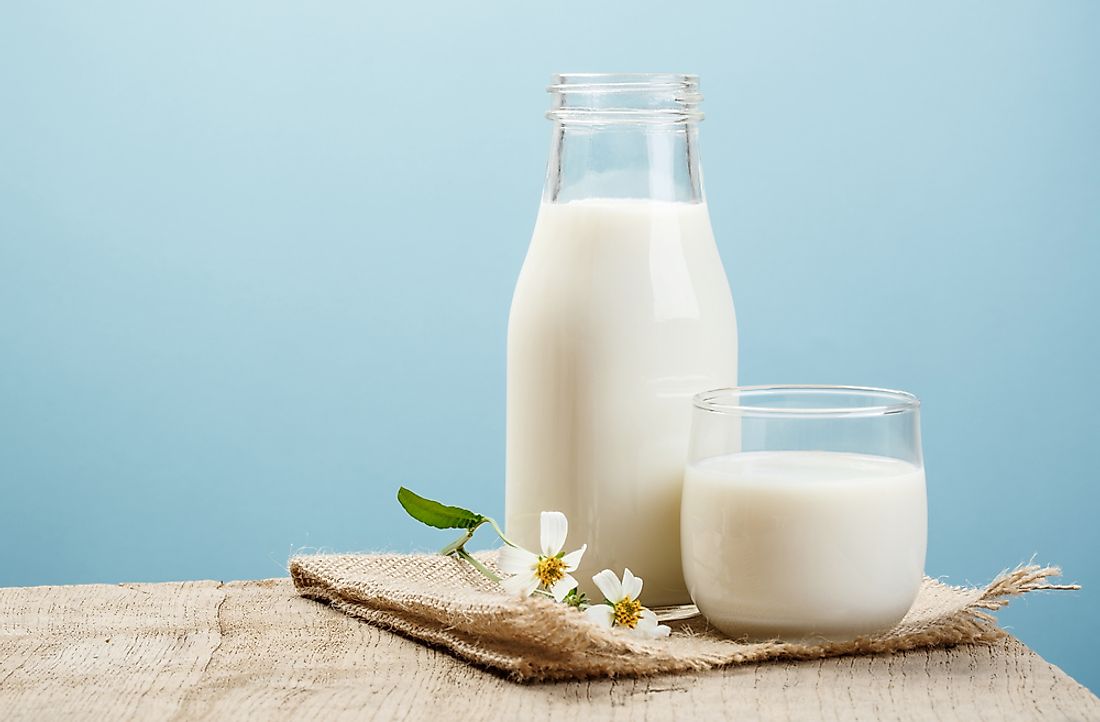 Milk is popular beverage worldwide, and is also used extensively in cooking and baking. 