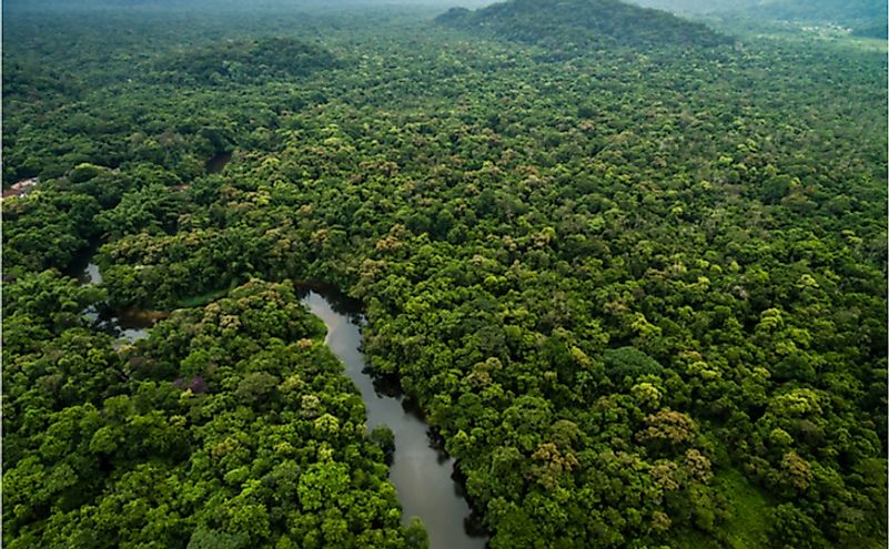 A dense tropical rainforest in Latin America.