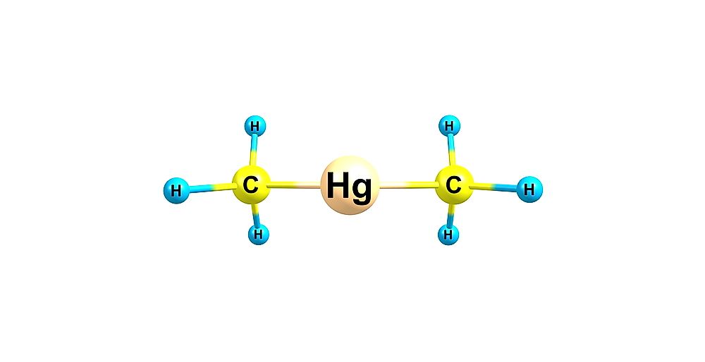 Dimethyl mercury can easily be absorbed into our bloodstream.