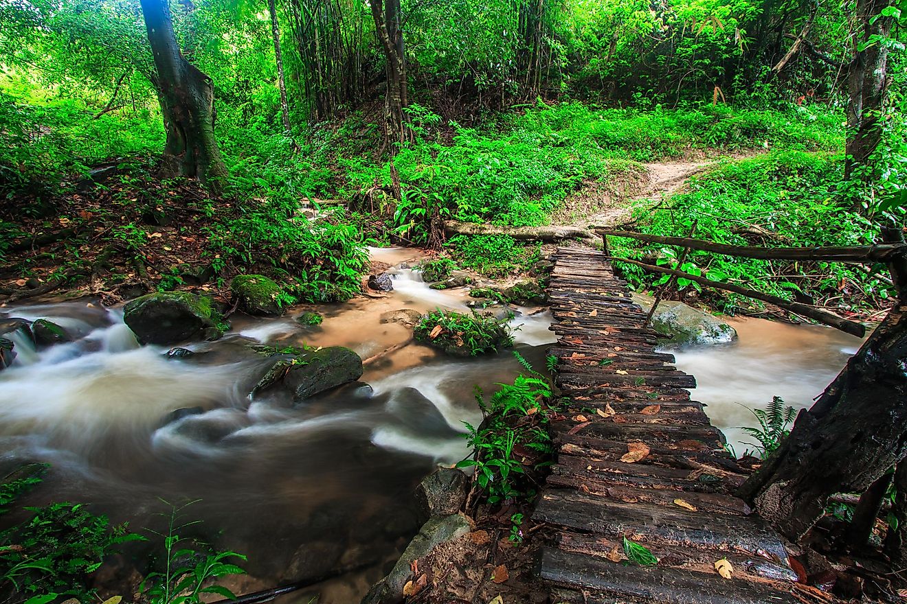 This rainforest is spread across the continent of Asia, covering Cambodia, Laos, and the Malay Peninsula.