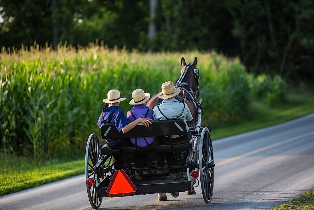 Three young Amish men in a buggy travelling down a country road. 