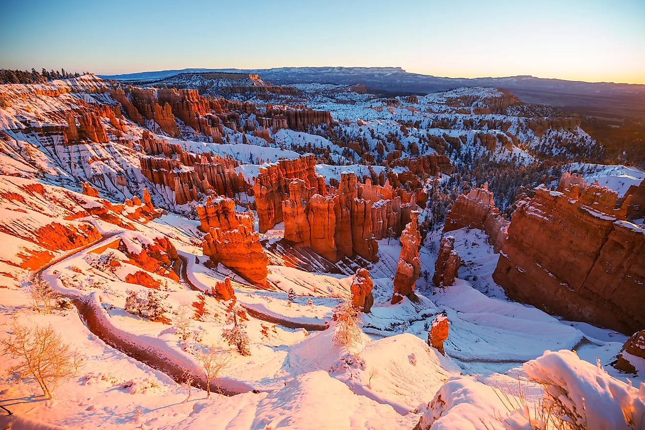 Hoodoos in Utah's Bryce Canyon National Park.