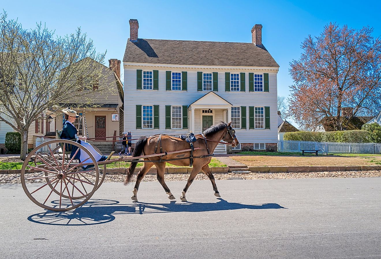 Woman riding on a horse and buggy in colonial Williamsburg, Virginia, at the end of winter.