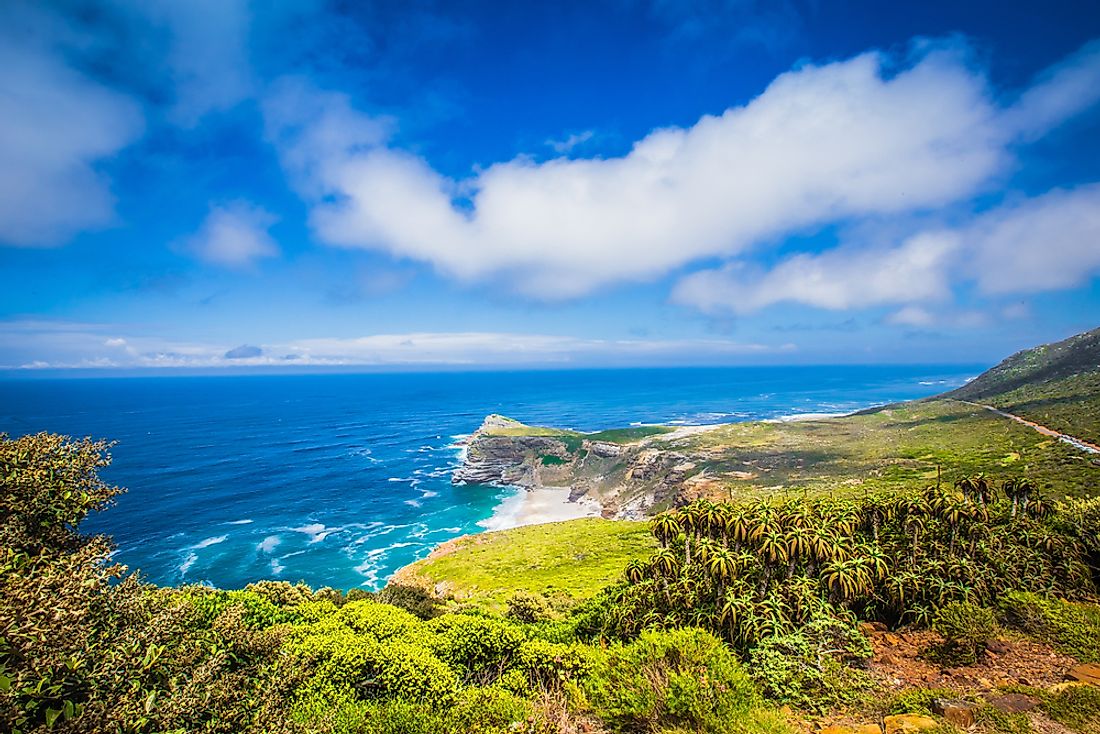 South Africa enjoys a long extensive coast line that is home to a variety of marine animals. 