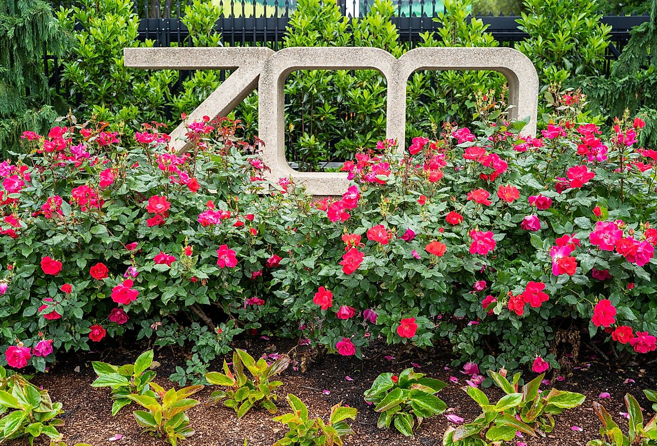 Sign for the Smithsonian National zoo, flowers surround the sign. Image credit melissamn via Shutterstock.