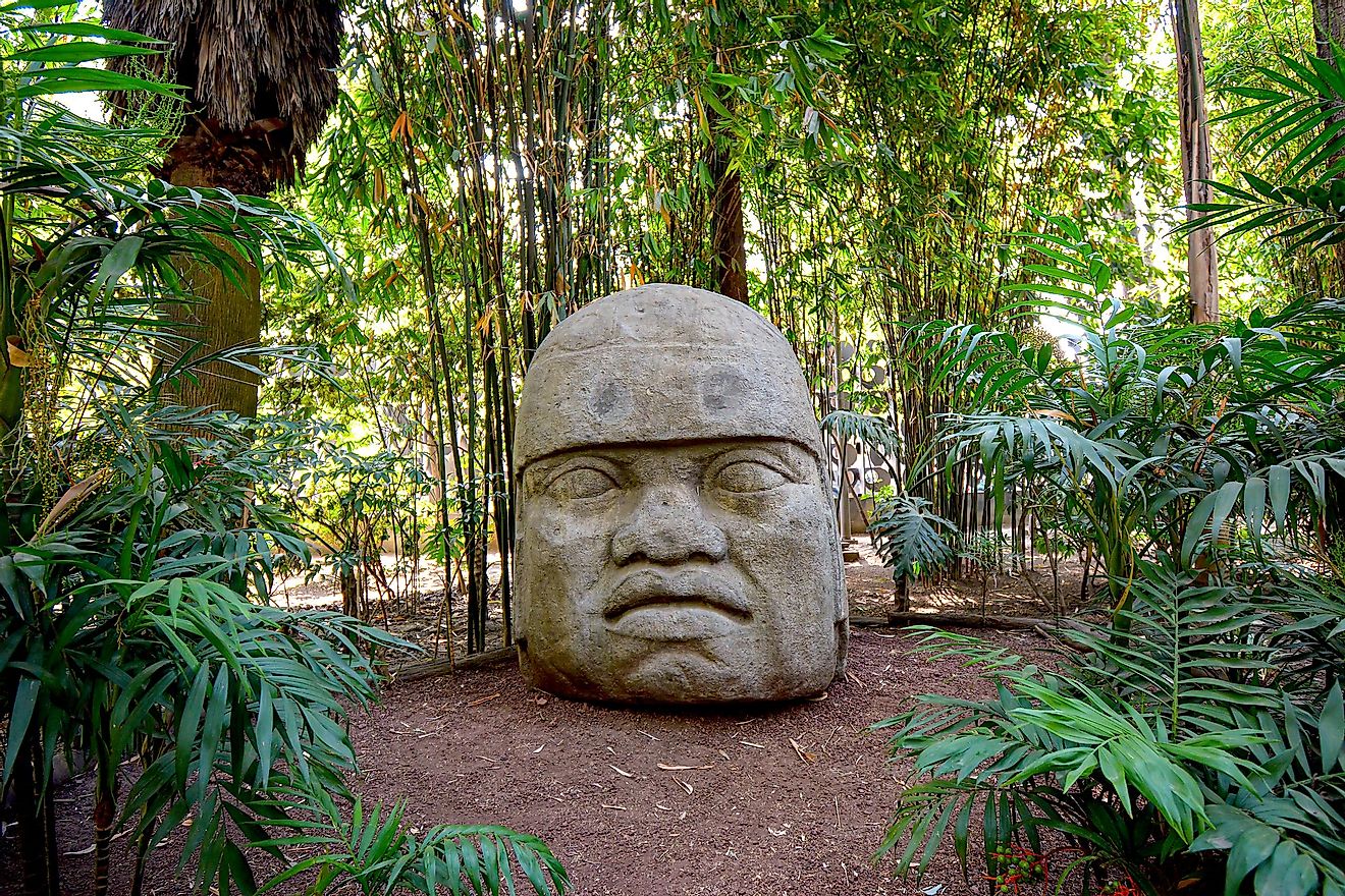 An Olmec colossal head in the forest.