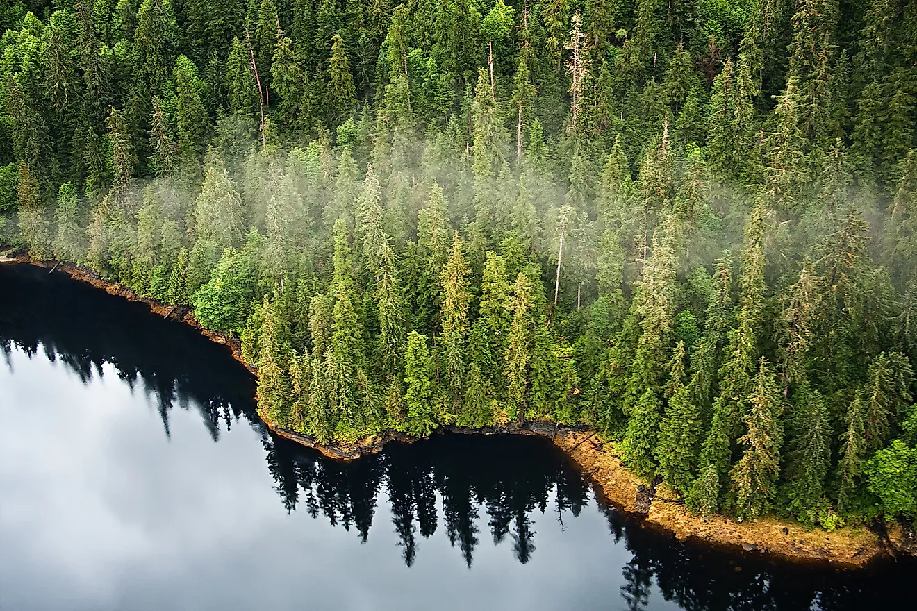 Aerial view of the mist hanging in the Tongass temperate rain forest, Misty Fjords National Monument, Alaska. 