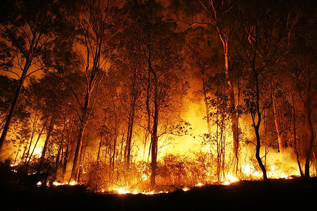 Bushfires are often incredibly destructive.