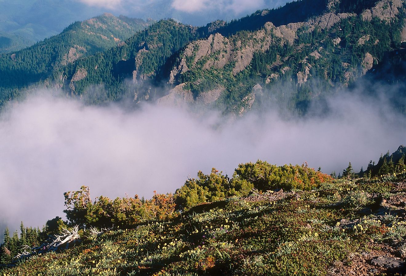 Rising mist from the summit of Mount Townsend, Buckhorn Wilderness, Olympic National Park, Washington