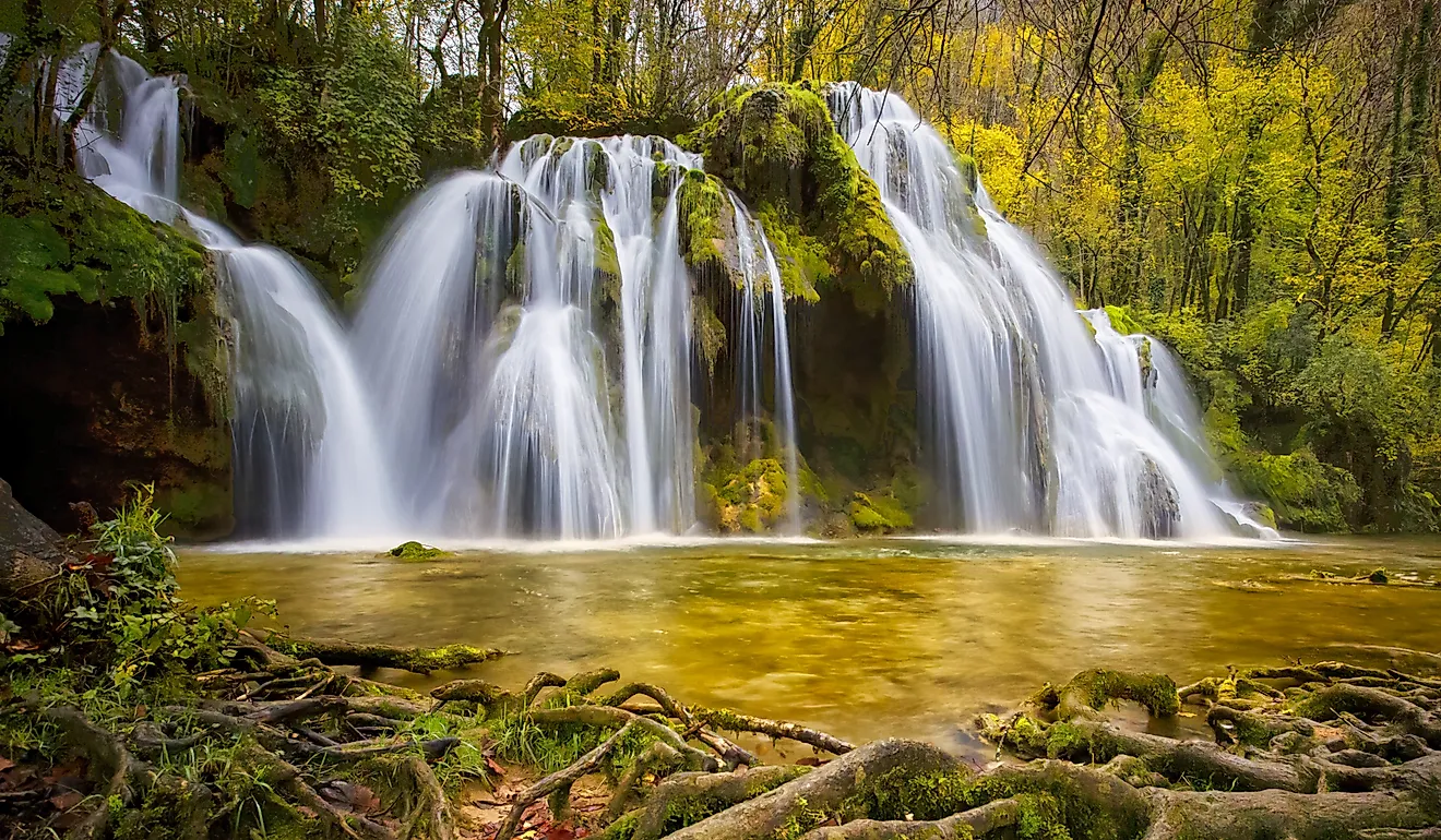 Raymondskill Falls Waterfall in green forest.