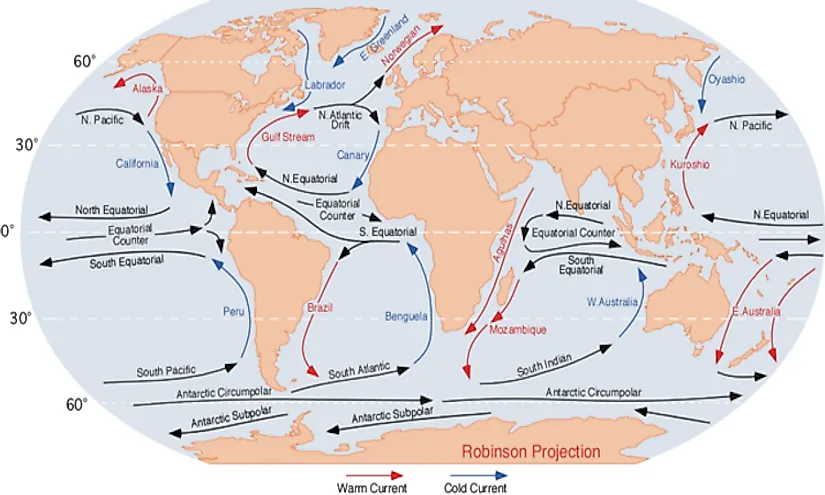 The warm and cold ocean currents play a major role in determining the climate of the coastal landmasses in their vicinity.