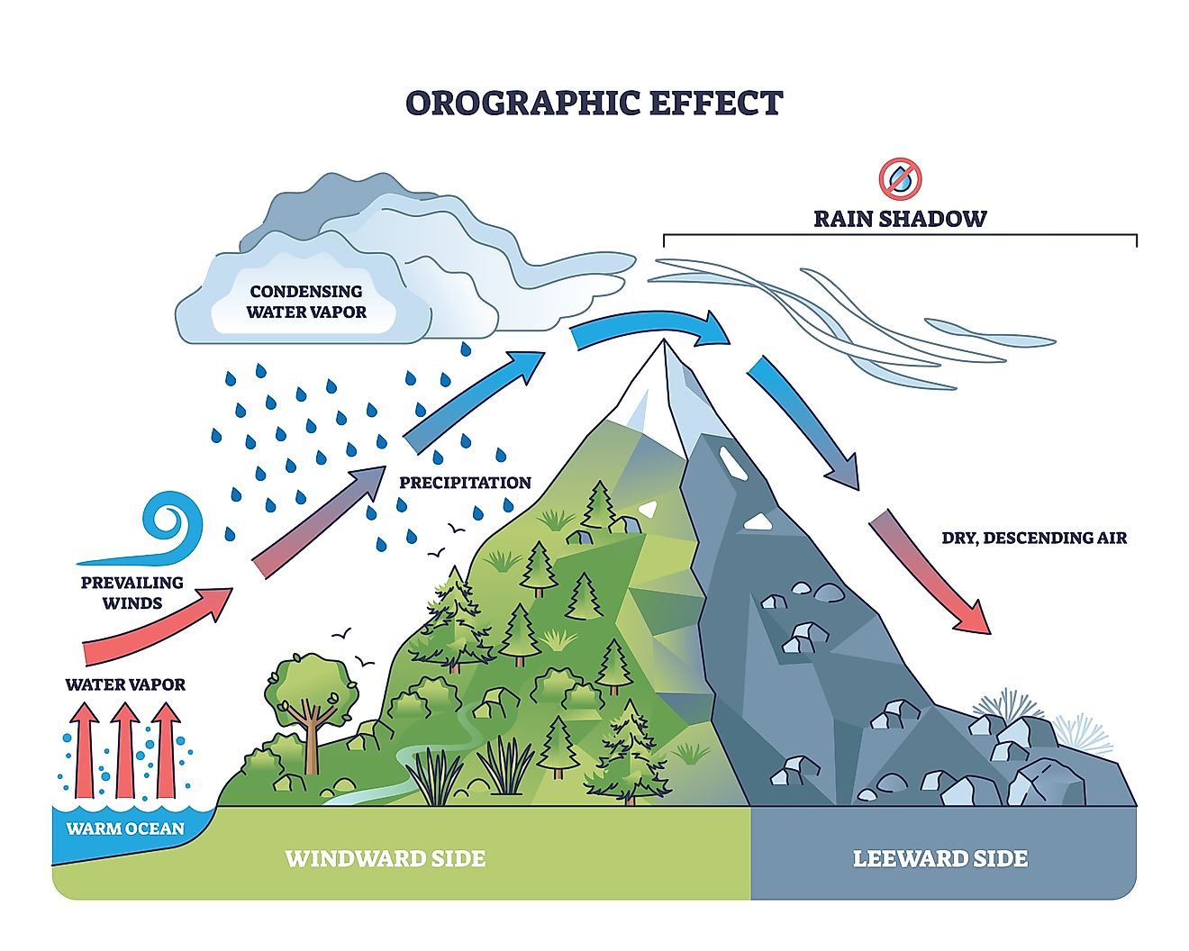 Orographic effect shows moist air rising over mountains, causing rain on the windward side and dry air on the leeward. 