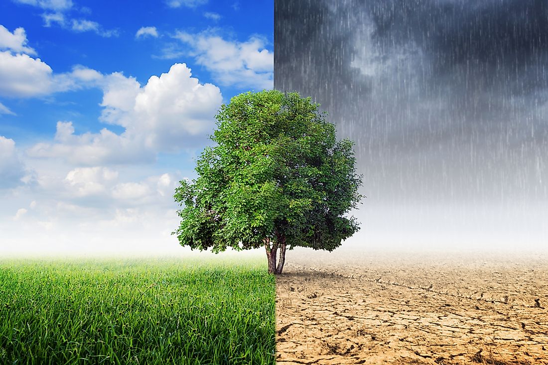 The difference between weather and climate can sometimes be a difficult topic to grasp. 
