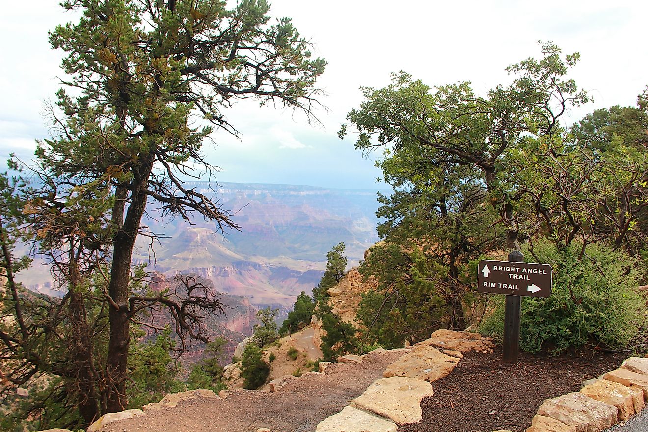 Deep scenic overlook into Colorado River Valley from Bright Angel Trail in Grand Canyon National Park, Arizona. Image credit: Pascal Vosicki/Shutterstock.com